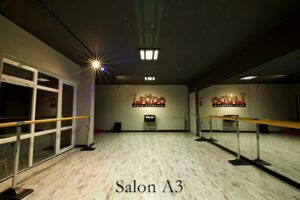 Latino-Dans-Studyosu-Kavaklidere-Subesi-Salon-A3.1